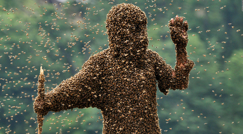 covered in bees