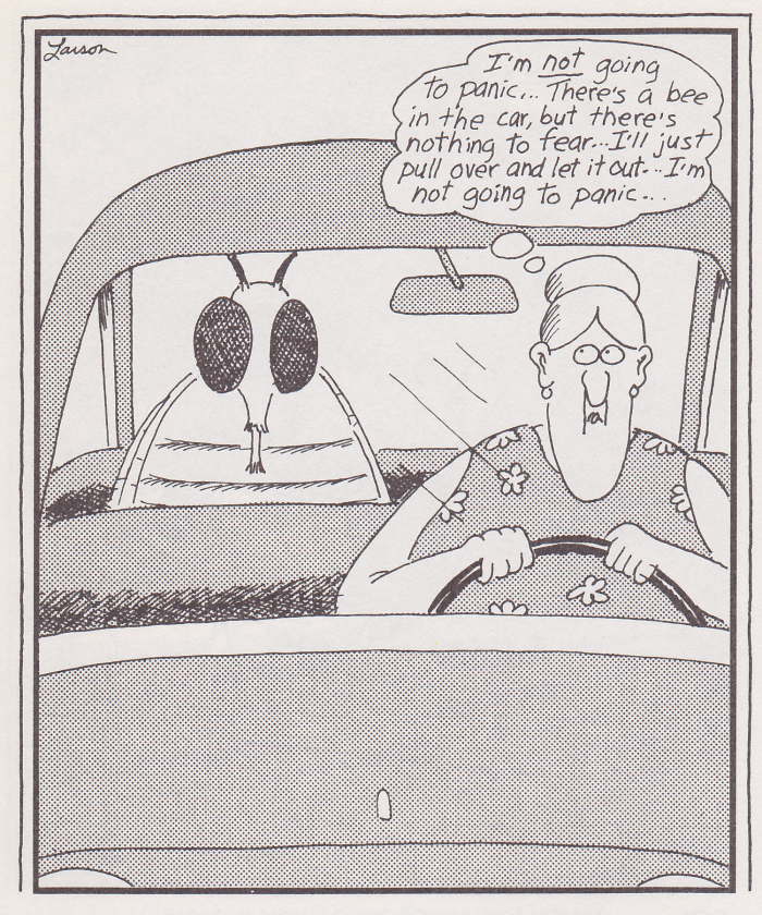 Copyright - Gary Larson