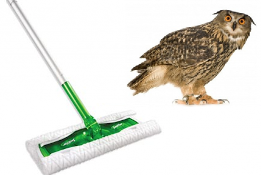 Swiffer and Owl